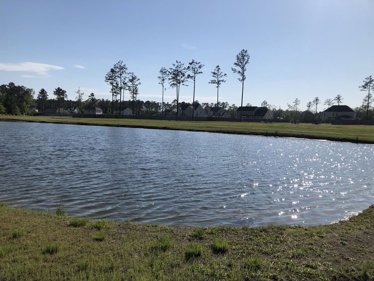 Man made pond behind neighborhood and a field