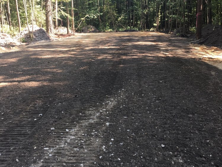 Land cleared out in forest with gravel lining the ground