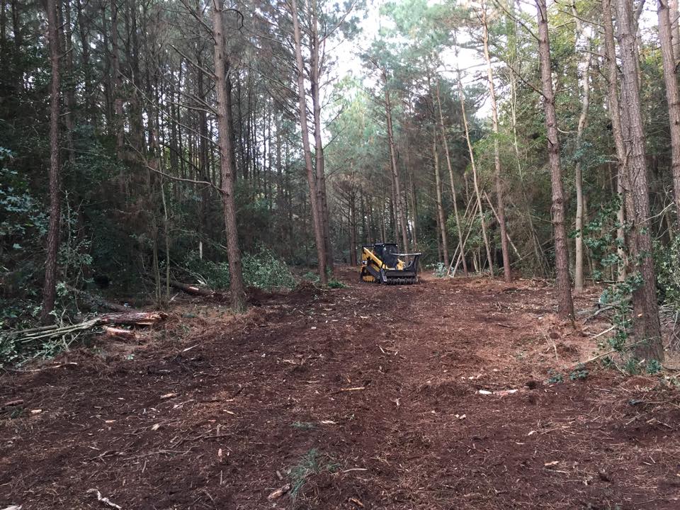 Trees removed and lot cleared in forest with skid steer breaking up debris on the ground